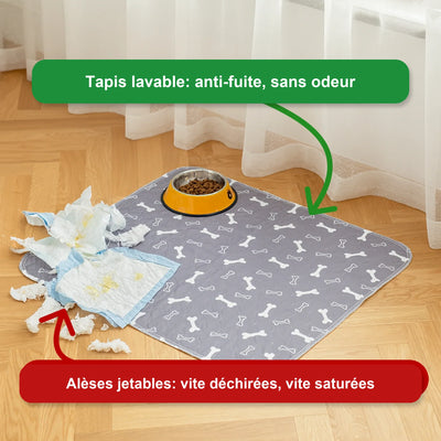 Tapis de propreté pour chien