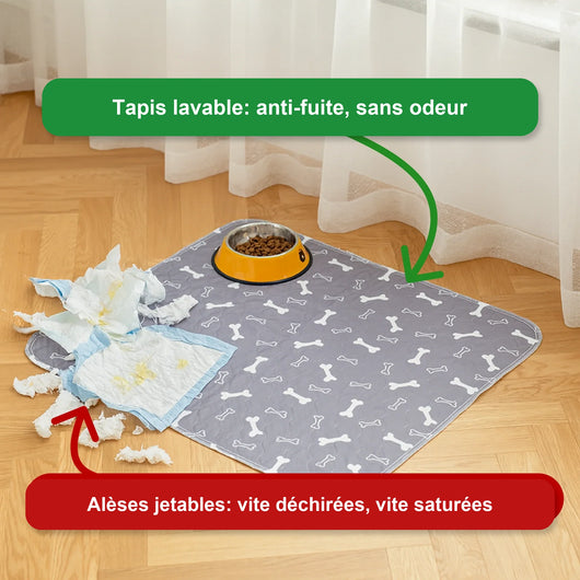 Tapis de propreté pour chien