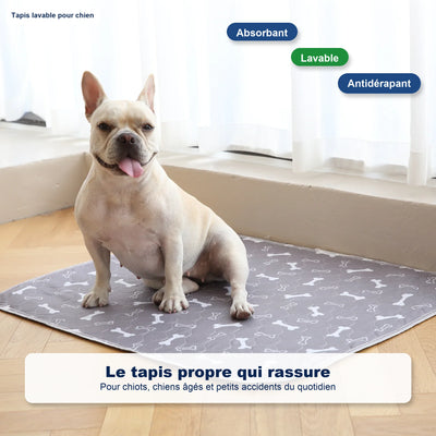 Tapis de propreté pour chien