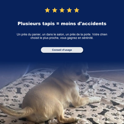 Tapis de propreté pour chien