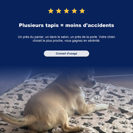 Tapis de propreté pour chien