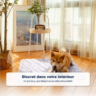 Tapis de propreté pour chien