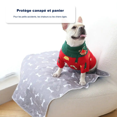 Tapis de propreté pour chien