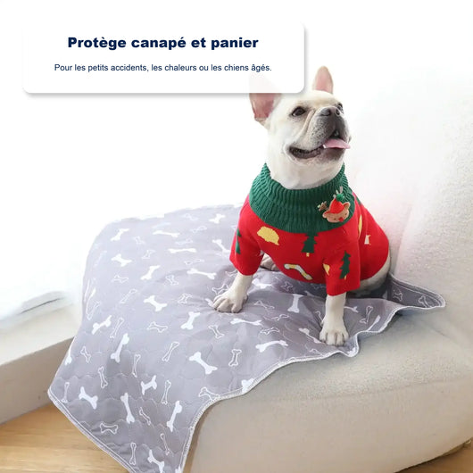 Tapis de propreté pour chien
