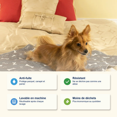 Tapis de propreté pour chien