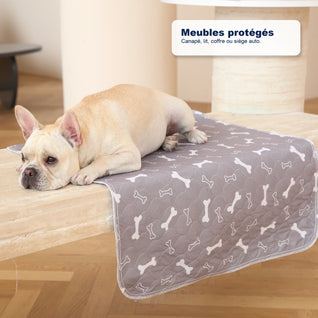 Tapis de propreté pour chien