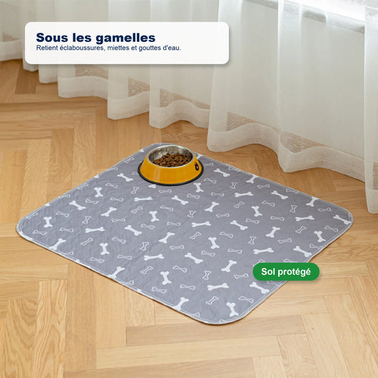 Tapis de propreté pour chien