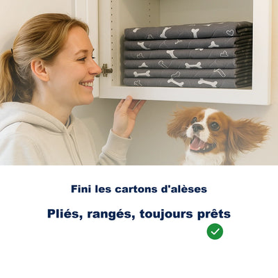 Tapis de propreté pour chien