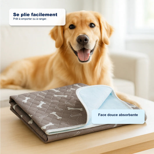 Tapis de propreté pour chien