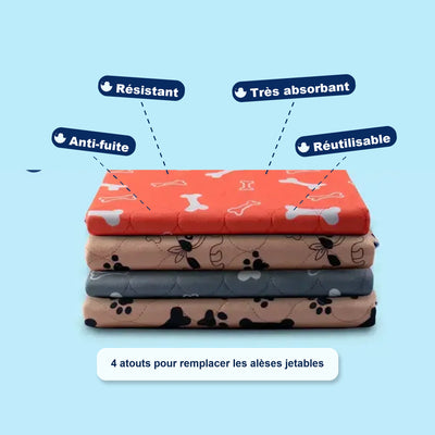 Tapis de propreté pour chien