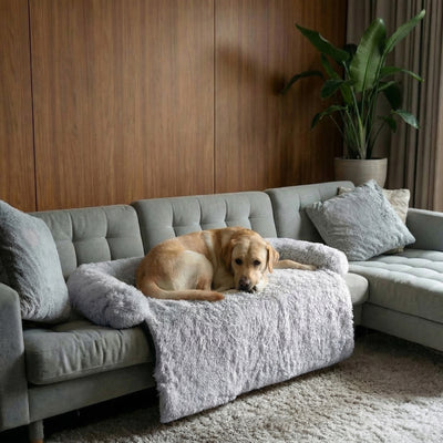Protège Canapé Anti-Stress pour Chien