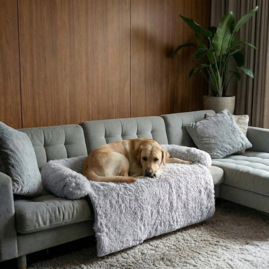 Protège Canapé Anti-Stress pour Chien